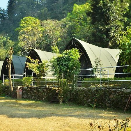 Crocus River Resort 兰斯顿 外观 照片