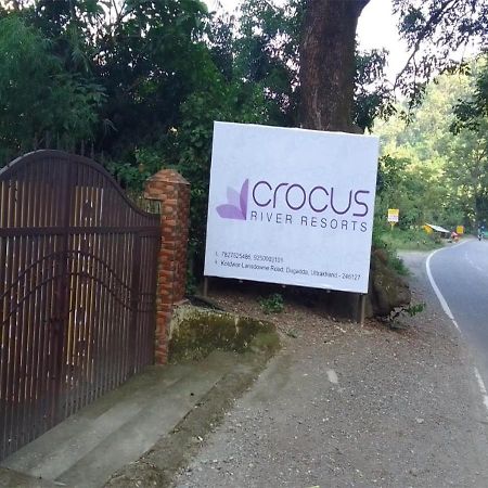 Crocus River Resort 兰斯顿 外观 照片