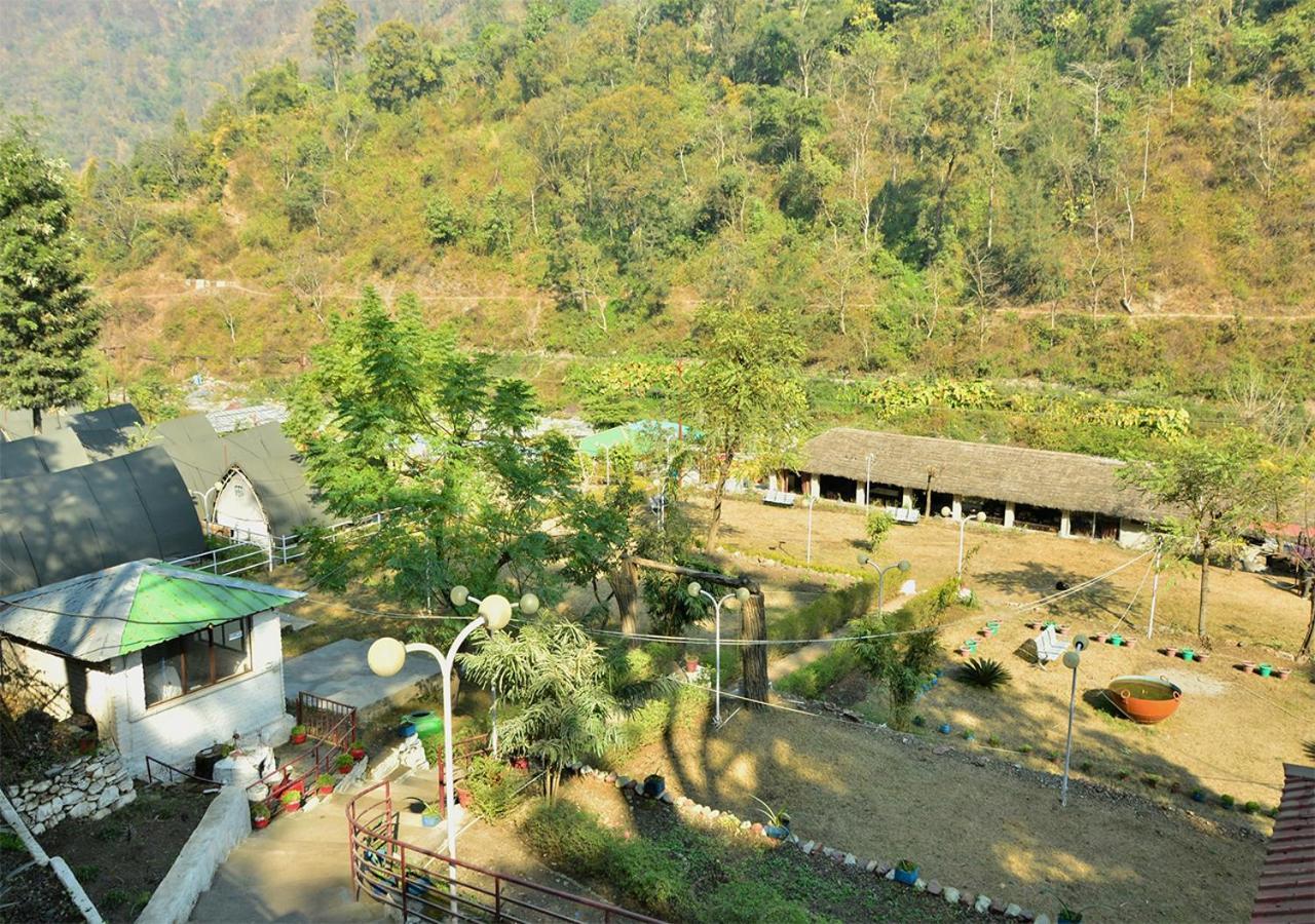 Crocus River Resort 兰斯顿 外观 照片