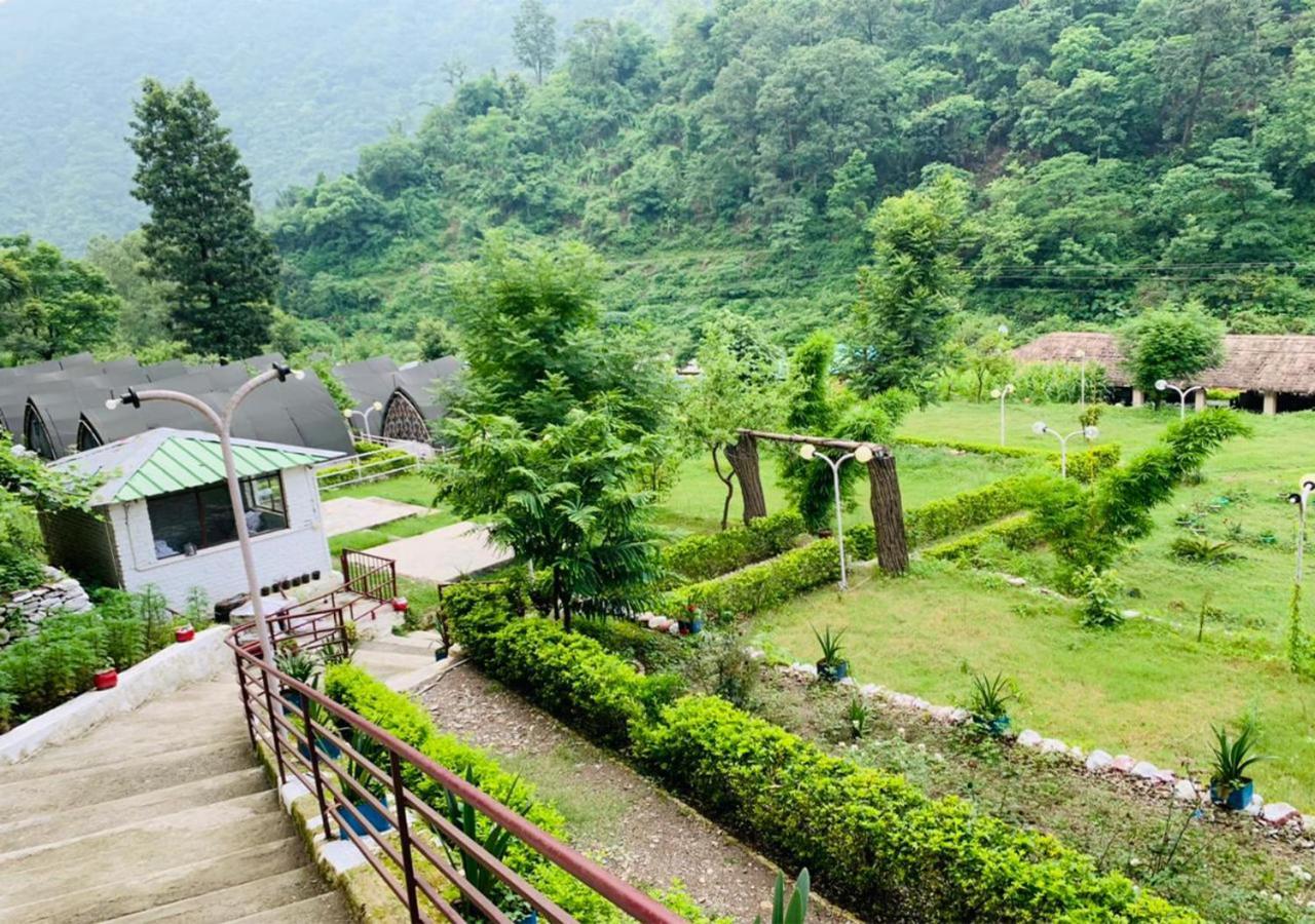 Crocus River Resort 兰斯顿 外观 照片