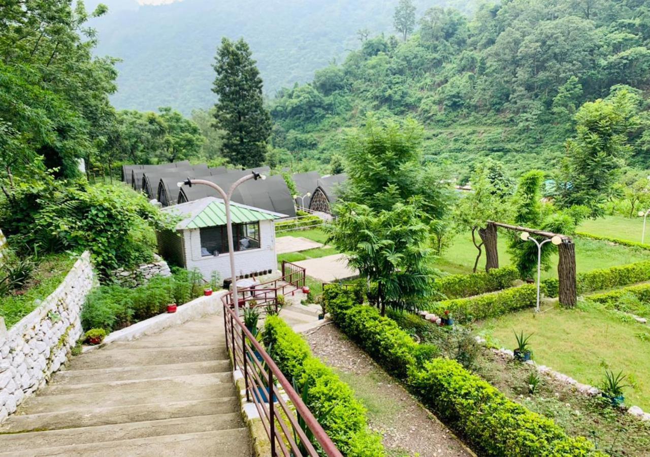 Crocus River Resort 兰斯顿 外观 照片