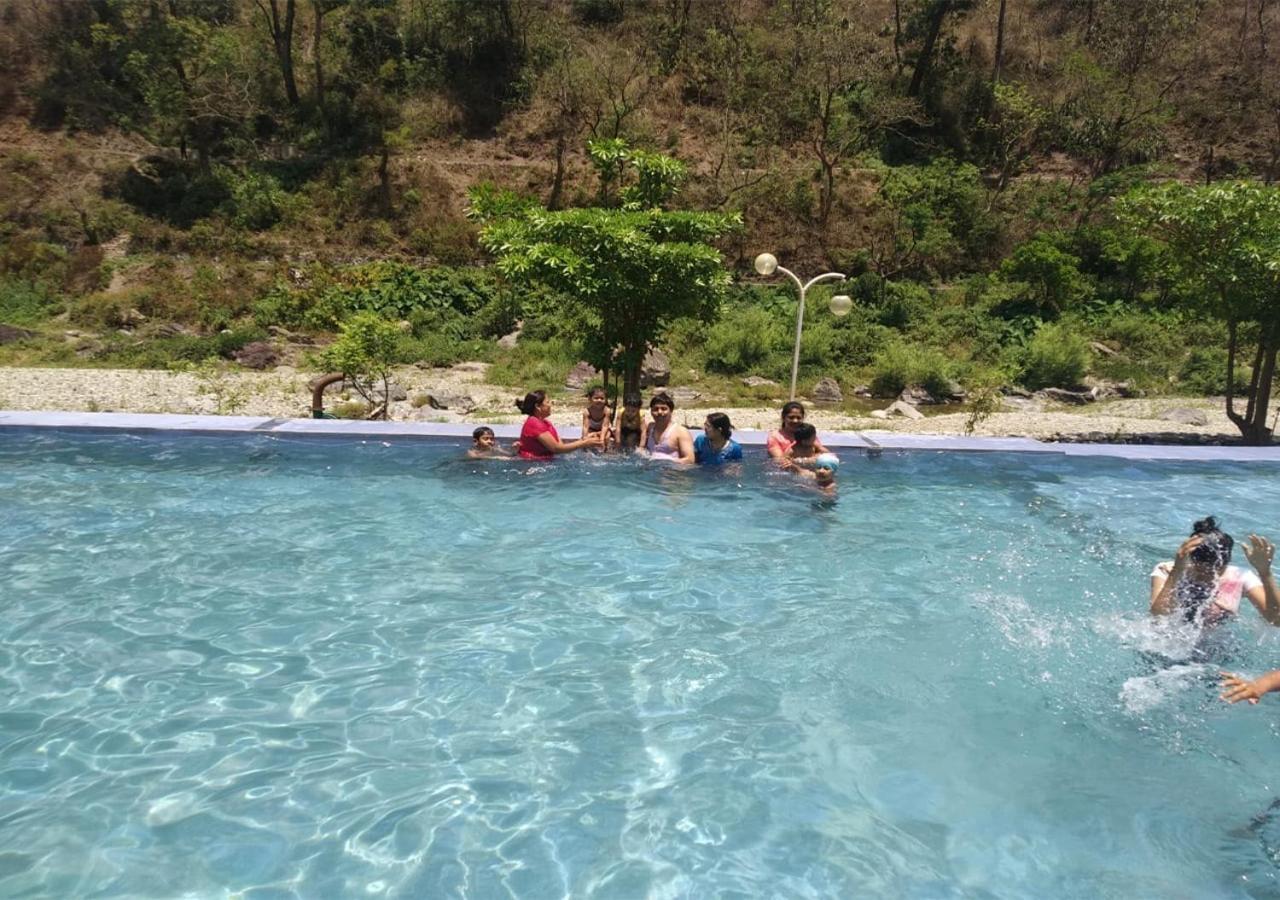 Crocus River Resort 兰斯顿 外观 照片