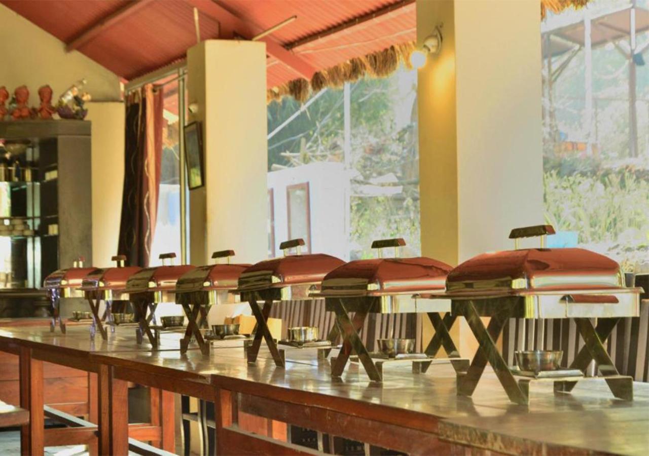 Crocus River Resort 兰斯顿 外观 照片