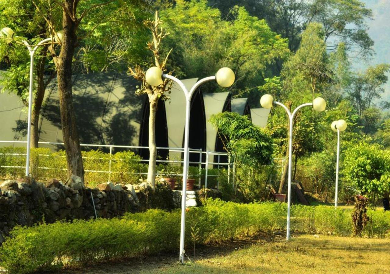 Crocus River Resort 兰斯顿 外观 照片