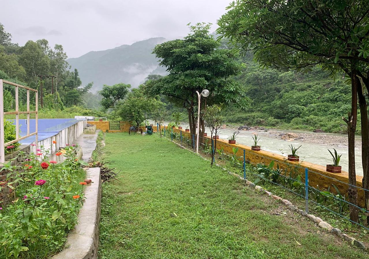 Crocus River Resort 兰斯顿 外观 照片